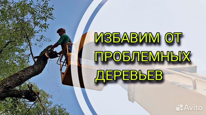 Спил деревьев во Владимире и Области