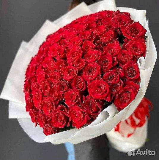 Метровые розы