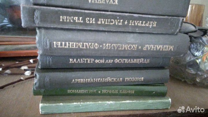 Серия книг Литературные памятники