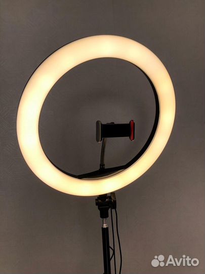 Кольцевая Лампа