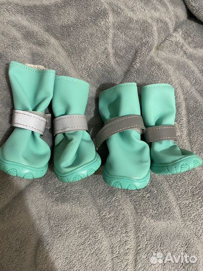 Ботинки для собак