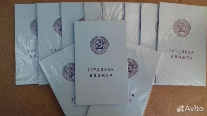 Альбом «Трудовая книжка» для монет