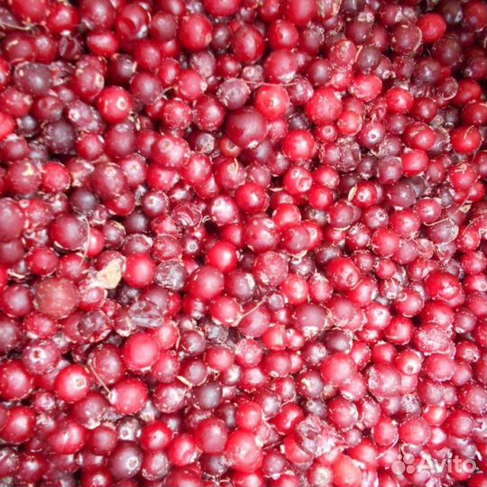 Клюква замороженная с доставкой
