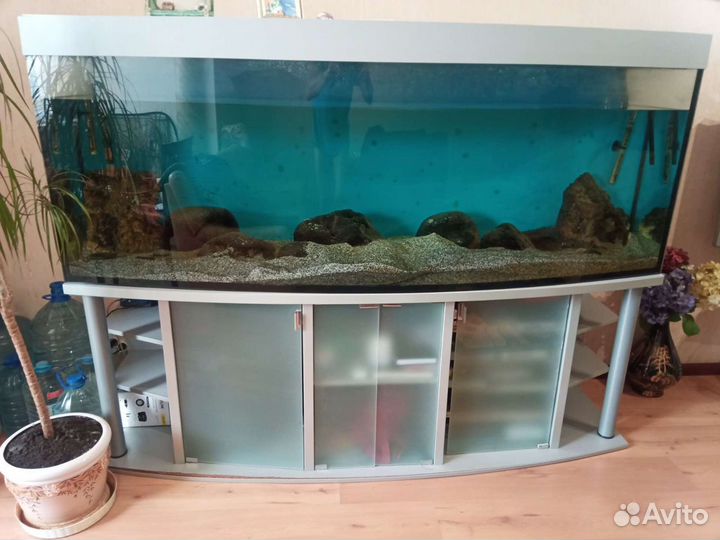 Аквариум продается
