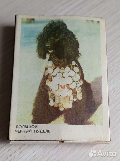 Сувенирные спички СССР Большой черный пудель