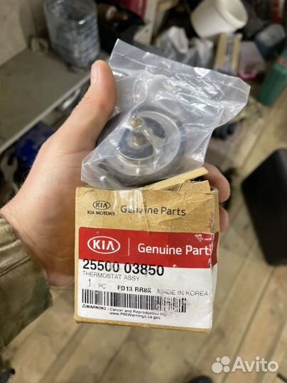 Термостат 25500 03850