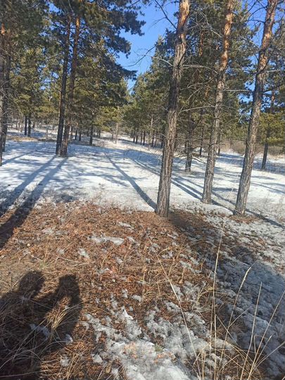 Участок 8 сот. (ИЖС)