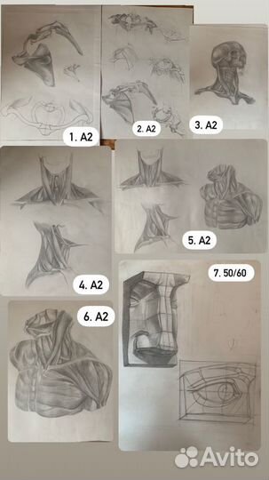 Рисунки для студентов Череп,портрет,анатомия, руки