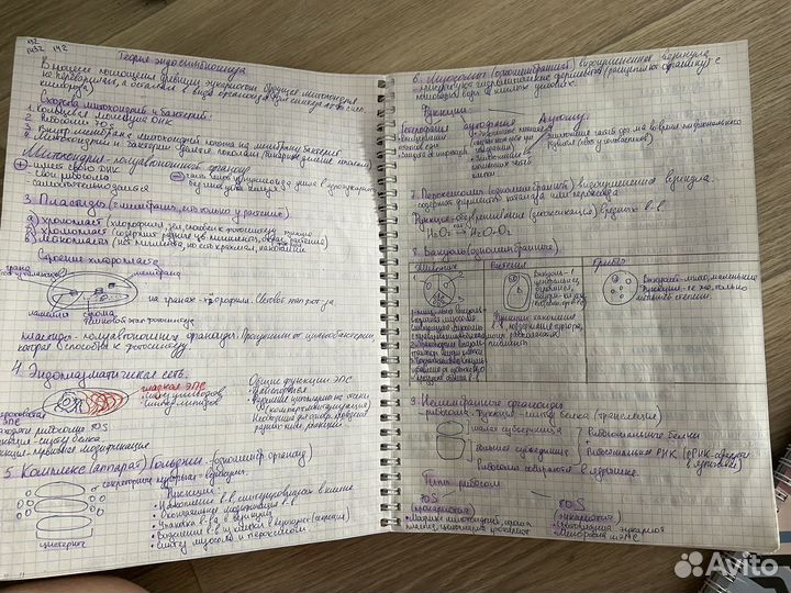 Материал для подготовки к егэ по биологии