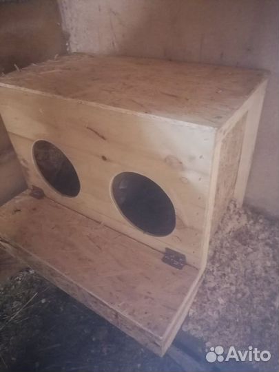 Гнездо с яйцесборником