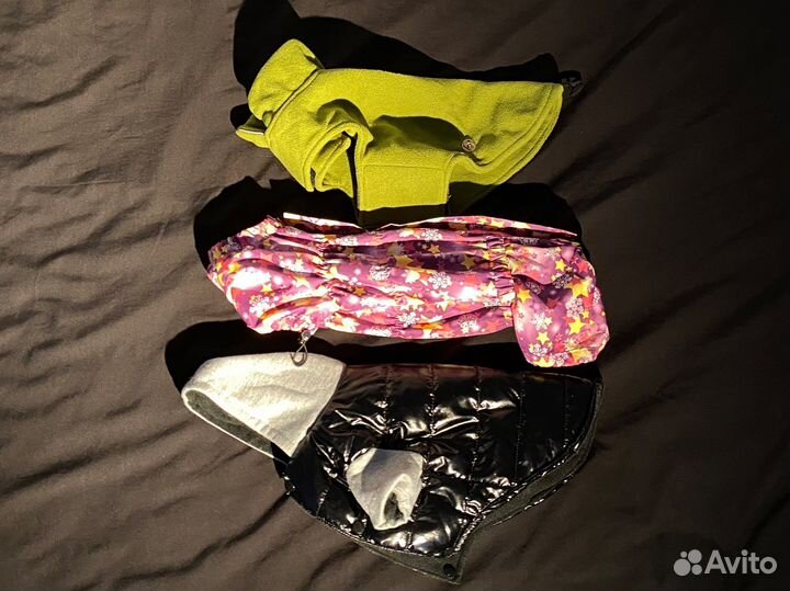 Одежда для собак: попона, комбинезон, куртка