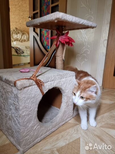 Домик для кошки с когтеточкой бу