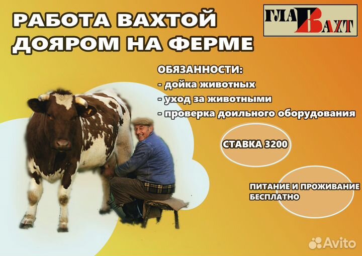 Вахта дояром/кой с проживанием