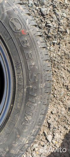 R14 Accelera Accelera Summer 175/65, PCD 4x98 DIA 38