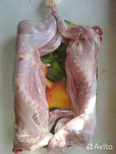 Кролики паннон, мясо кроликов