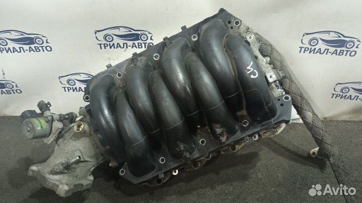 Vogue Коллектор