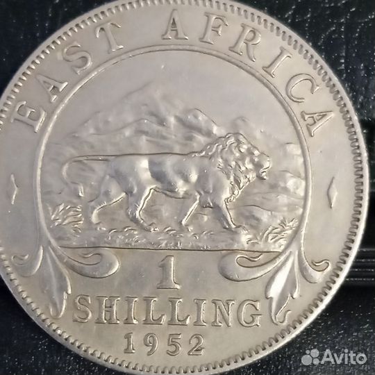 Восточная Африка 1 шиллинг 1952 г