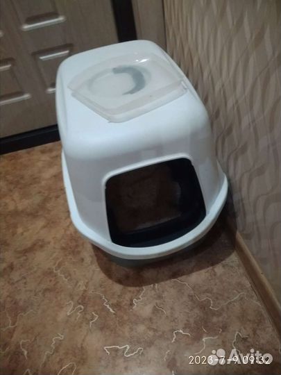 Котик 3 года