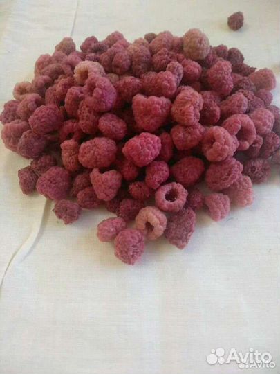 Малина сушеная