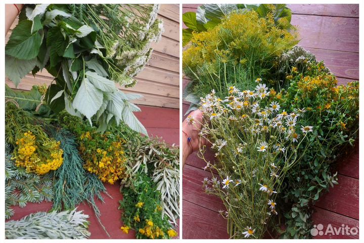 Запарка для бани и травы. Ягода, яблоки, мята