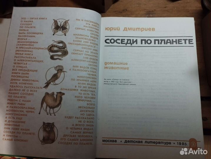 Соседи по планете. Домашние животные