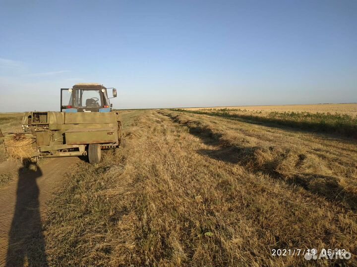 Сено в тюках