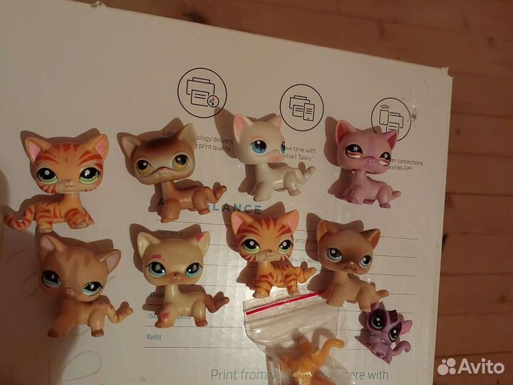 Лпс стоячки