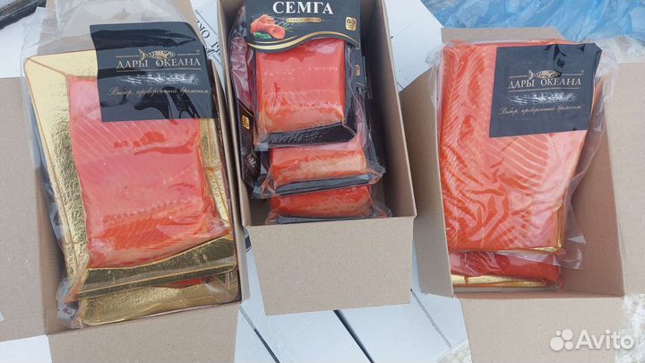 Рыба форель семга морская