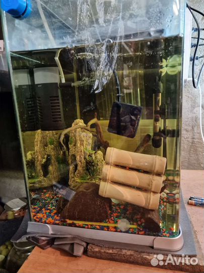 Аквариум с рыбками