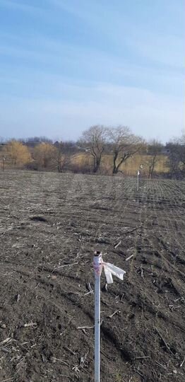 Участок 25 сот. (ИЖС)