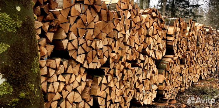 Дрова в область