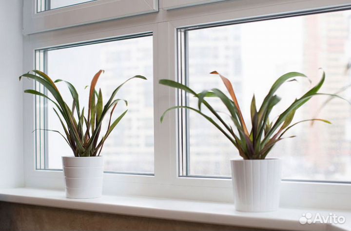 Пластиковые окна