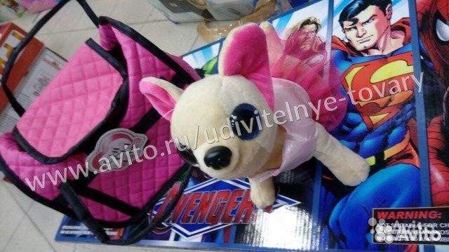 Чичилав Собачка