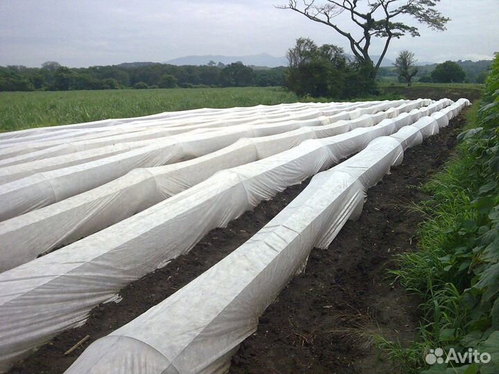 Замечательный парник для урожая длинна 4м доставка