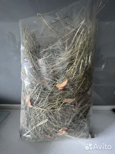 Сено для грызунов