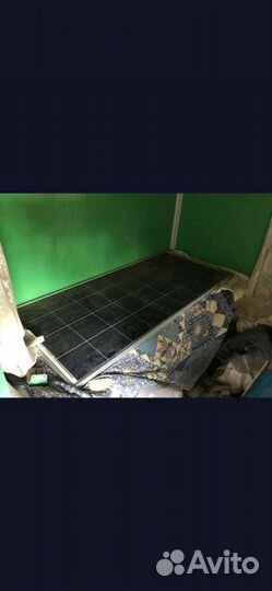 Пчелы пасека