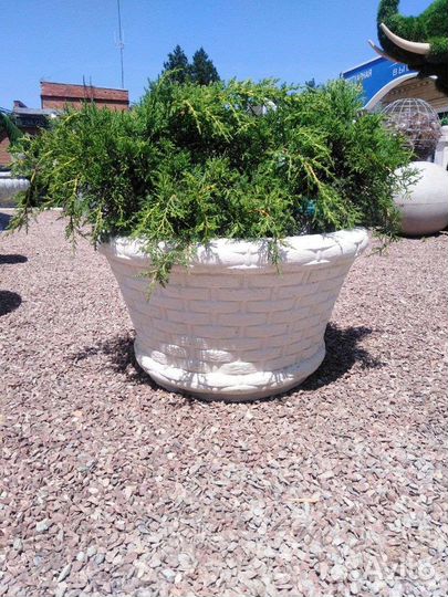 Кашпо вазон