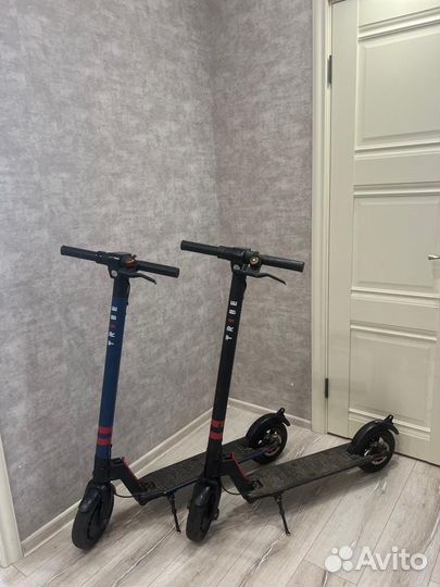 Самокат взрослый электрический бу Tribe