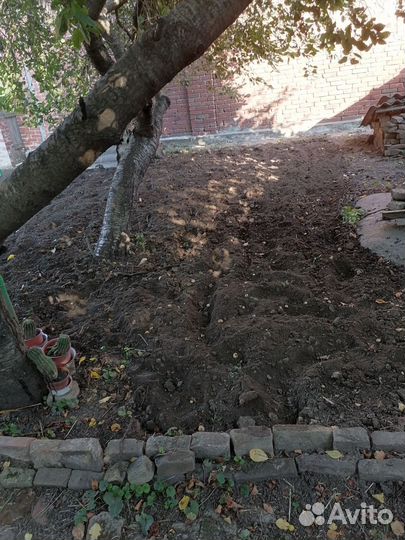 Сад благоустройство