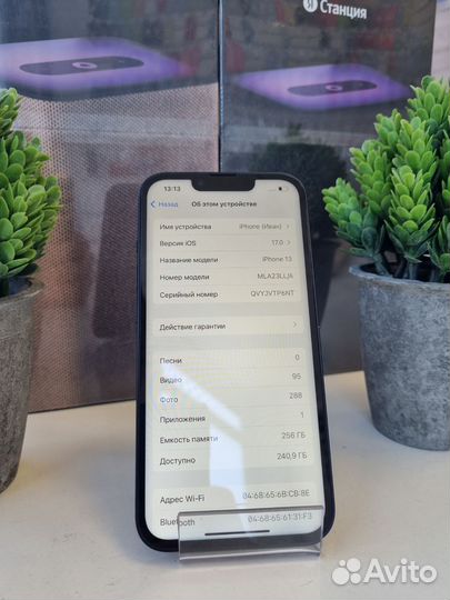 iPhone 13, 256 ГБ