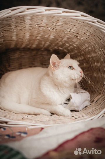 Ее никто не замечает