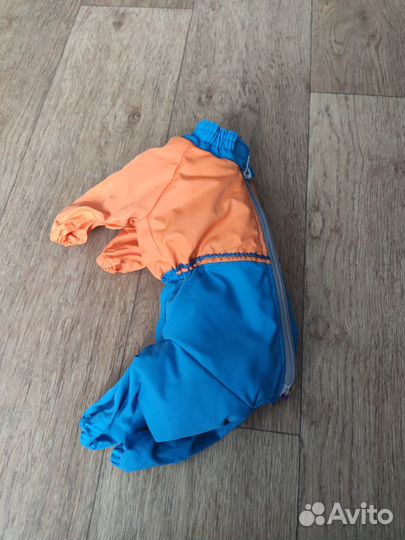 Одежда для животных