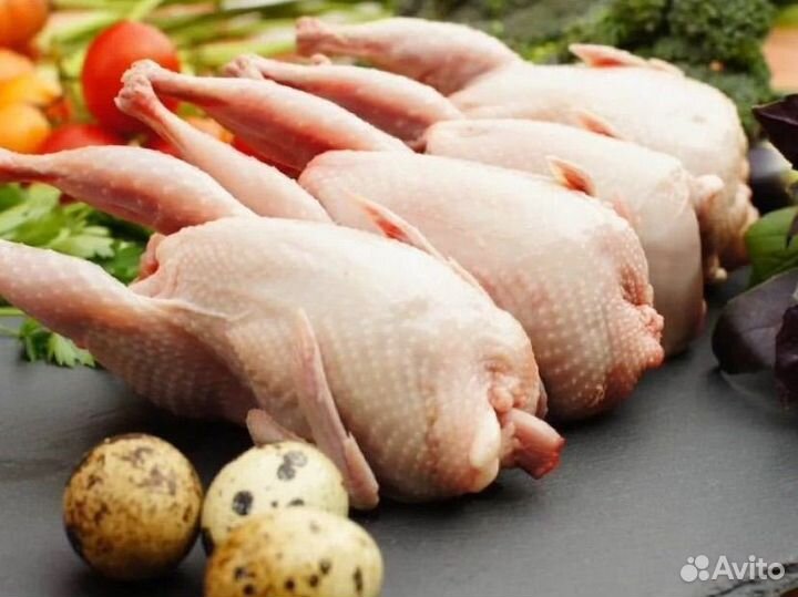 Мясо перепелов