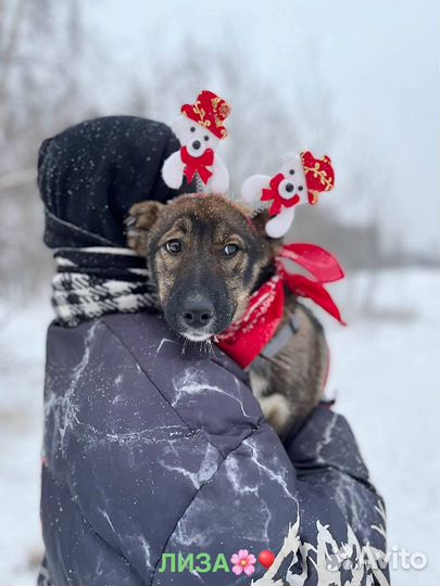 Нежная девочка очень страдает в тесной клетке