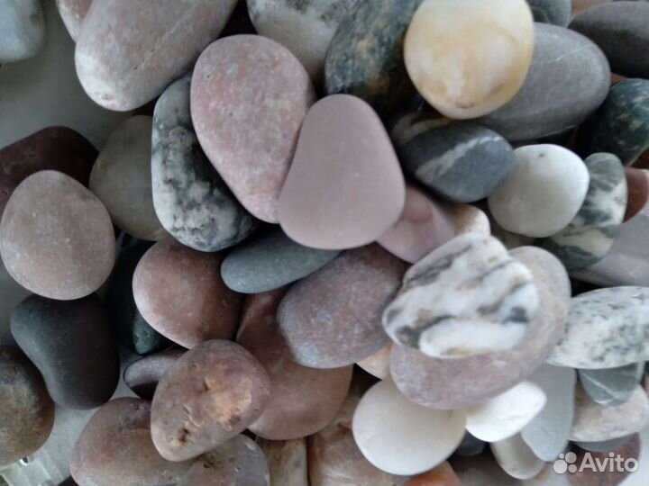 Наборы морской гальки, раковины для декора