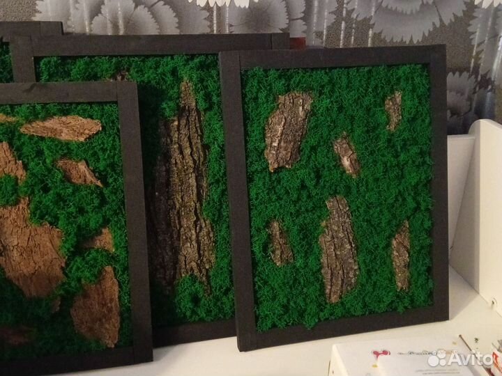 Фитокартины из мха