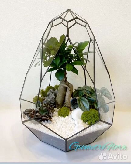 Флорариум бонсай