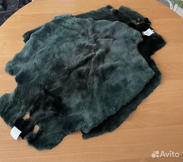 Шкурки бобра зеленые