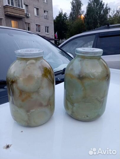 Грибы грузди