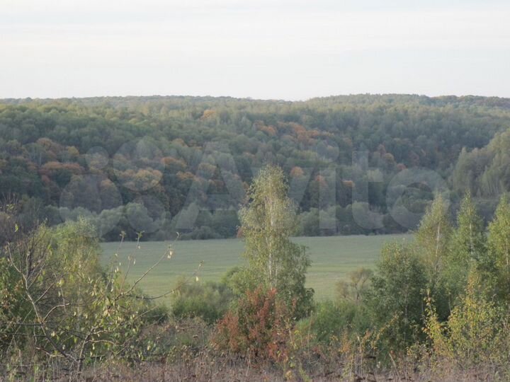 Участок 23,6 га (СНТ, ДНП)